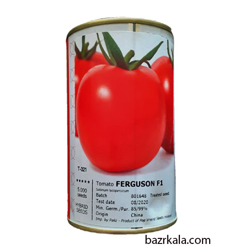 بذر گوجه فرنگی فرگوسن 