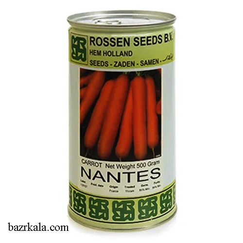 بذر هویج استاندارد نانتس 2019 روزن سیدز هلند
