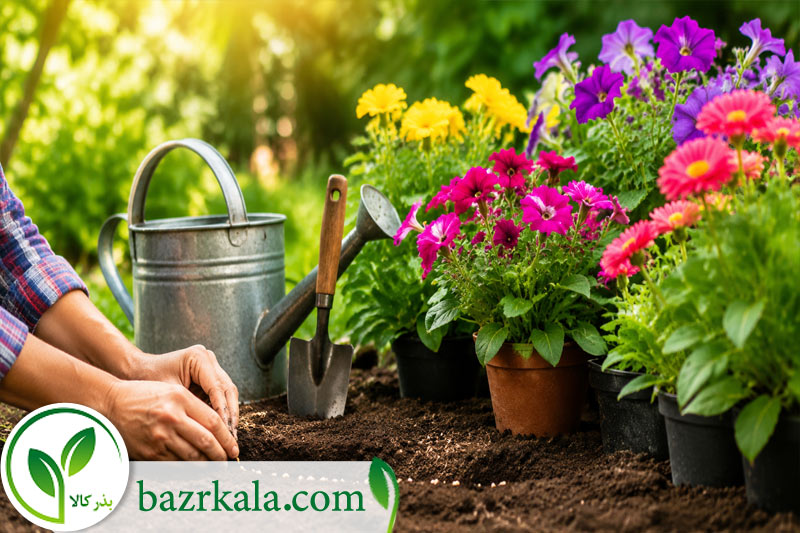 اشتباهات رایج هنگام کاشت بذر گل