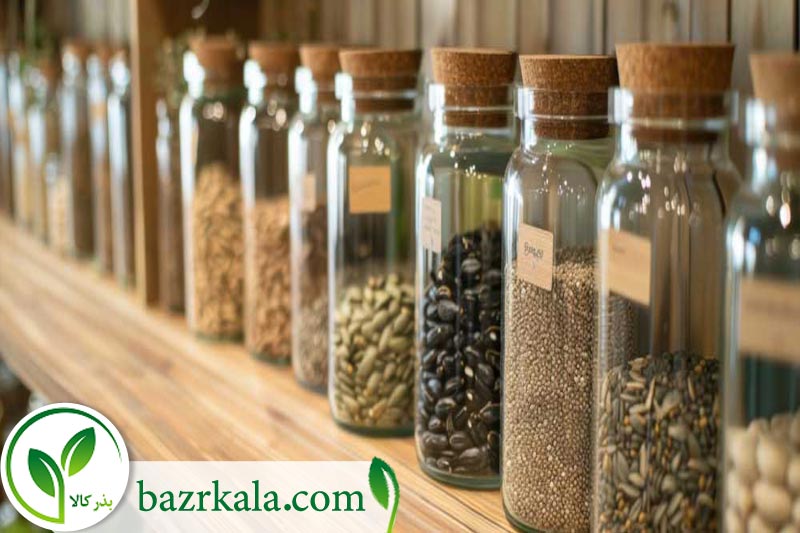 نکات مهم نگهداری بذر برای حفظ کیفیت و افزایش جوانه زنی 